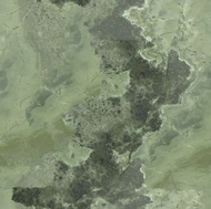 Amazonia Granite