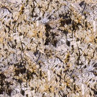 Aran Cream Dark Granite