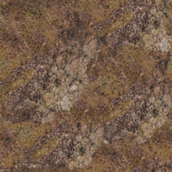 Autumn Harvest Granite