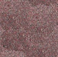 Bordeaux Star Granite