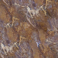 Bronzite Granite