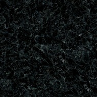 Cambrian Black Granite