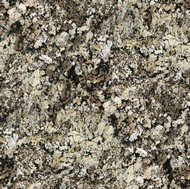 Coral Gold Granite