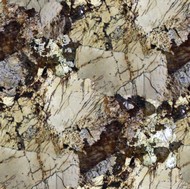 Crema Delicatus Granite