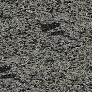 Daisy Granite