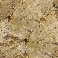 Giallo Beach Granite