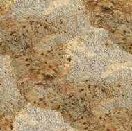 Giallo Cristal Granite