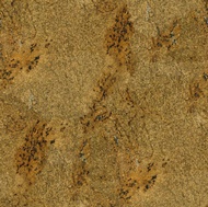 Golden Classic Granite