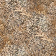 Golden Exotic Granite