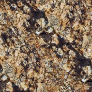 Golden Persa Granite