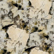 Gran Delicatus Granite