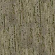 Green Pantanal Granite