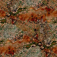 Harlequin Granite Australia