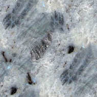 Ice Pearl Granite
