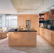 Contemporary Kitchen Cabinets