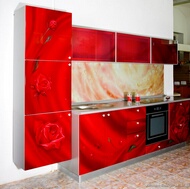 Modern Red Kitchen