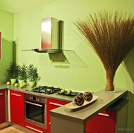 Modern Red Kitchen