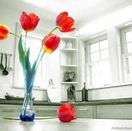 Modern Two-Tone Kitchen