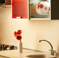 Modern Red Kitchen