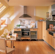 European Kitchen Cabinets