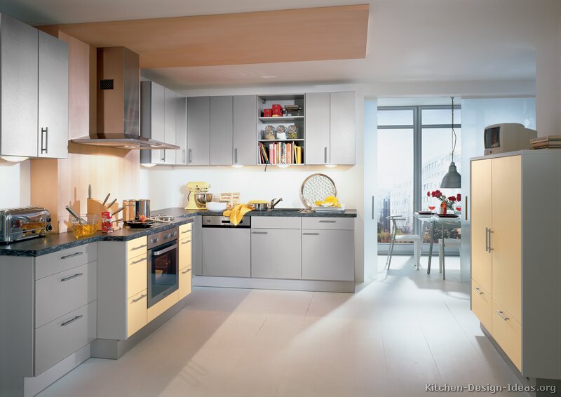 Pictures of Kitchens - Modern - Gray Kitchen Cabinets