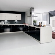 Contemporary Kitchens