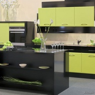 Contemporary Kitchen Cabinets