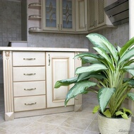 Traditional Antique White Kitchen