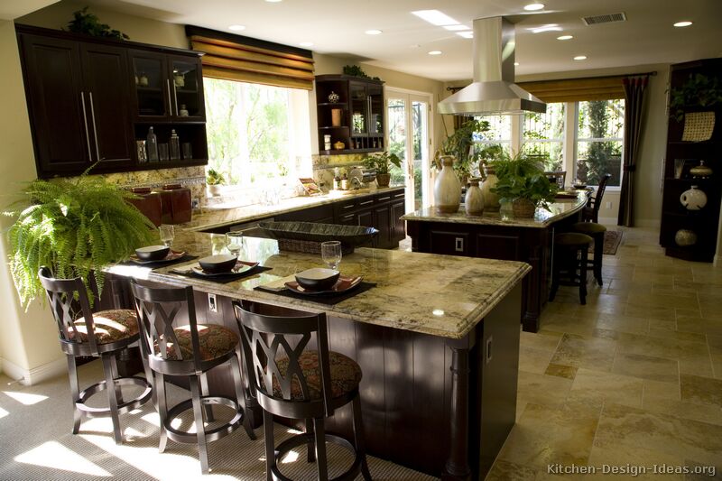 Pictures Of Kitchens Traditional Dark Espresso Kitchen Cabinets