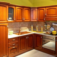 Traditional Medium Wood-Golden Kitchen