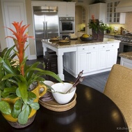 Traditional White Kitchen