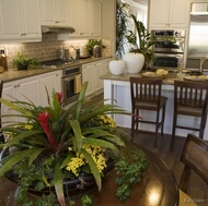 Traditional White Kitchen