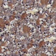 Limbara Granite