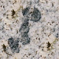 Mascalzone Granite