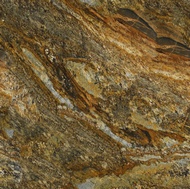 Ouro Fantastico Granite