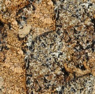 Persa Gold Granite