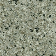 Rain Forest Granite
