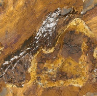 Serengeti Gold Granite