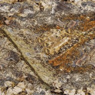 Tortuga Granite