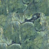 Tropical Leaf Granite