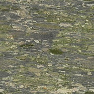 Verde Coto Granite