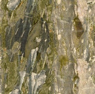 Verde Fashion Granite