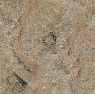 Virgin Sand Granite