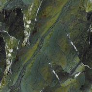 Granite Countertop Colors (Vitoria Regia shown)