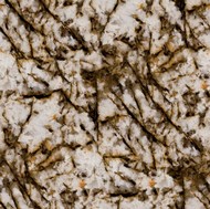 White Frost Granite