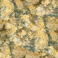 Yellow Cactus Granite